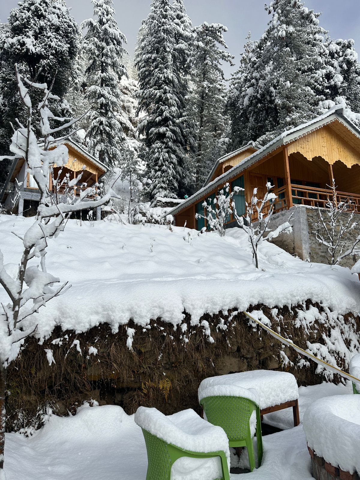 https://thewoodskingdom.in/wp-content/uploads/2024/11/PHOTO-2024-10-04-18-55-09.jpg